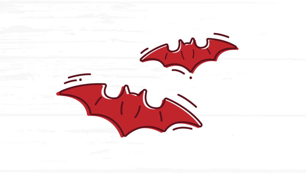 Everything You Should Know About Bats In Your Home