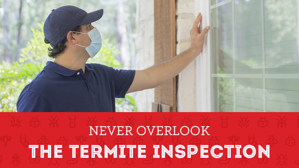 Never overlook the termite inspection