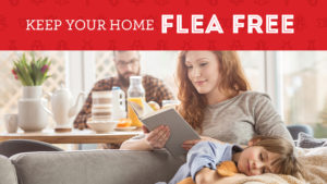 Keeping Your Home Flea Free - image of a family in their living room