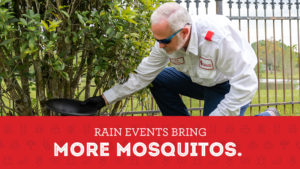 Mosquitoes in Louisiana