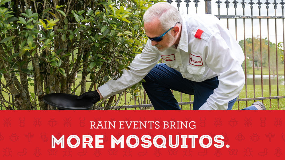 Rain Events Bring More Mosquitos