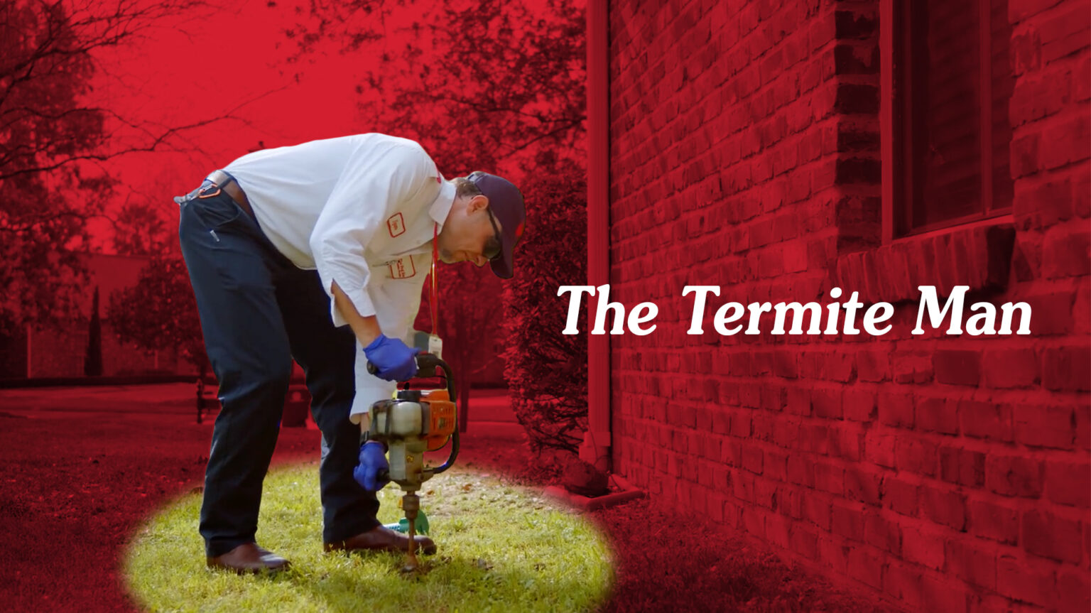 Termite Protection Services - Why They’re Essential