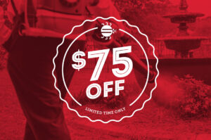 Mosquitos Exterminator in Louisiana | The Bug Man