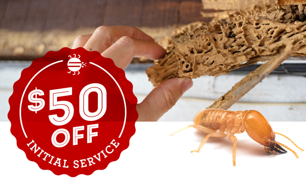 Termite Control The Bug Man Pest Control Louisiana