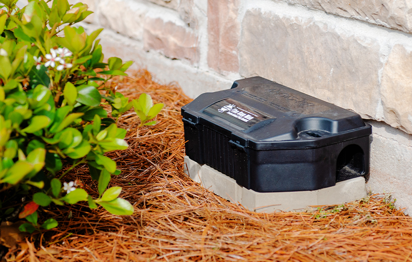 Food and Hospitality Pest Control