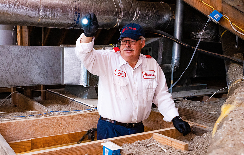 Pest Control for Property Owners